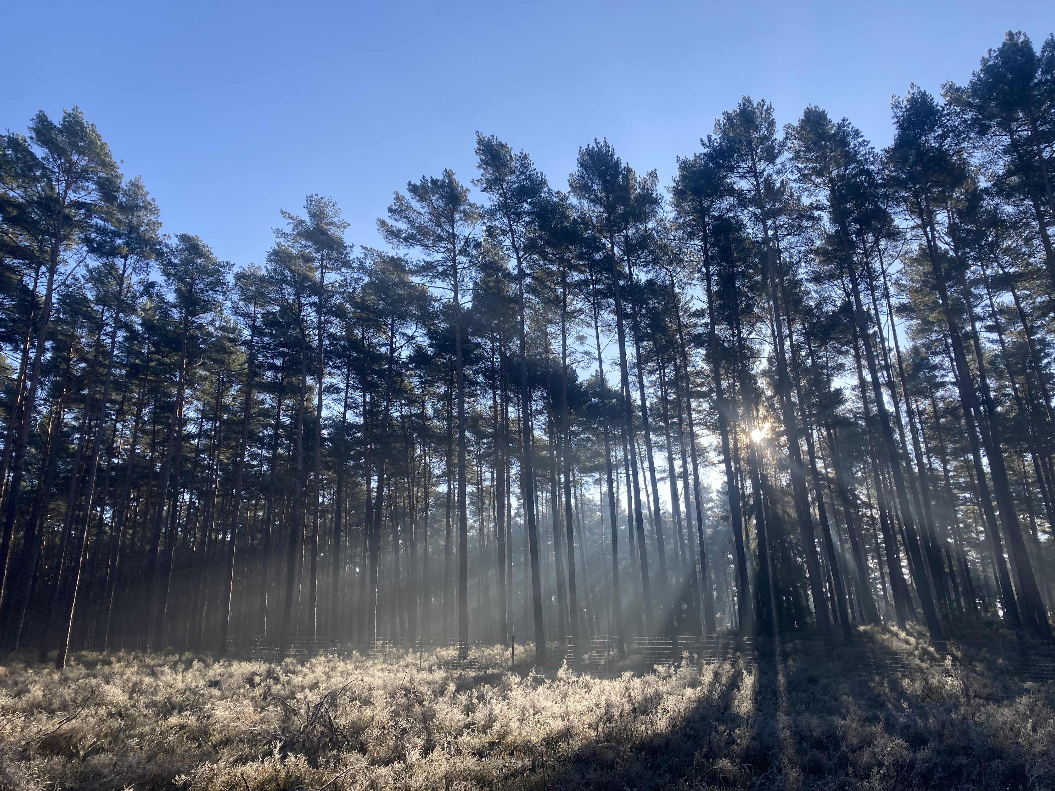 Platzhalter_Valentin.jpeg Platzhalter_Valentin.jpeg